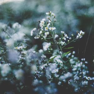 波多野结衣高潮了6次
